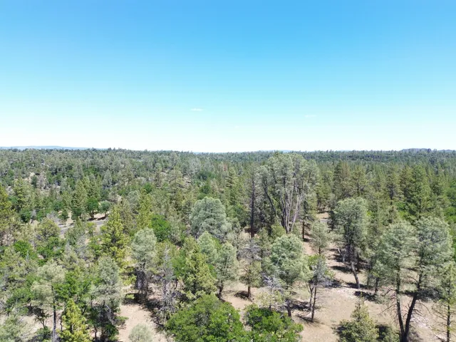 $37,500 | 0 Shoshoni Loop, Fall River Mills, CA 96028