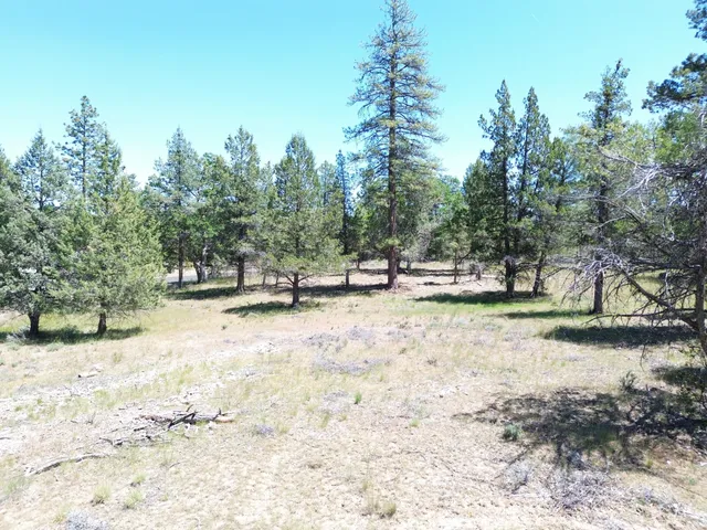 $37,500 | 0 Shoshoni Loop, Fall River Mills, CA 96028