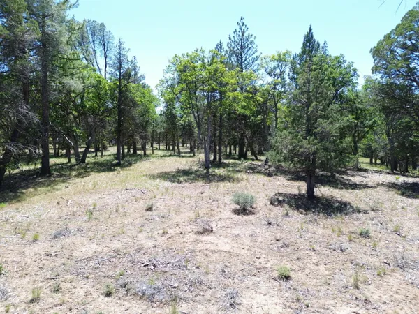 $37,500 | 0 Shoshoni Loop, Fall River Mills, CA 96028