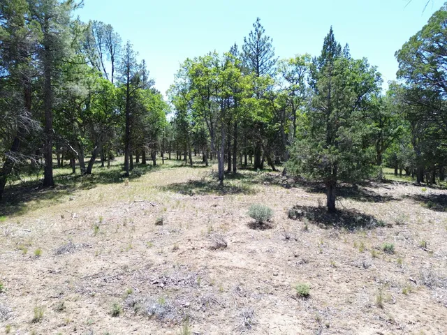 $37,500 | 0 Shoshoni Loop, Fall River Mills, CA 96028