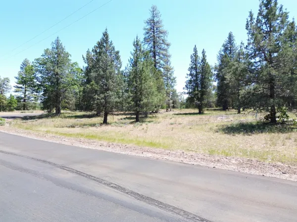$37,500 | 0 Shoshoni Loop, Fall River Mills, CA 96028