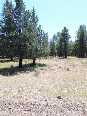 $37,500 | 0 Shoshoni Loop, Fall River Mills, CA 96028
