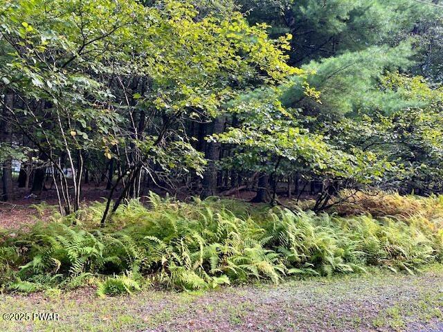 Lot 235 Hound Road Dingmans Ferry, PA 18328 - Photo 3 of 7