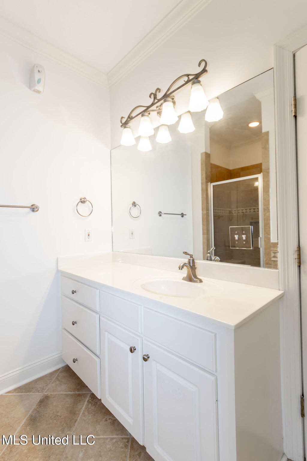 332 Provision Parkway Brandon, MS 39042 - Photo 20 of 38 Gorgeous Lighting In Mawster Bath
