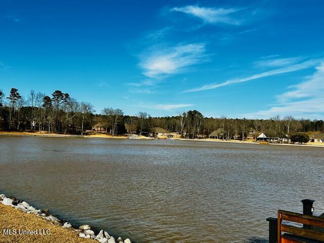332 Provision Parkway Brandon, MS 39042 - Photo 35 of 38 IMG_3558