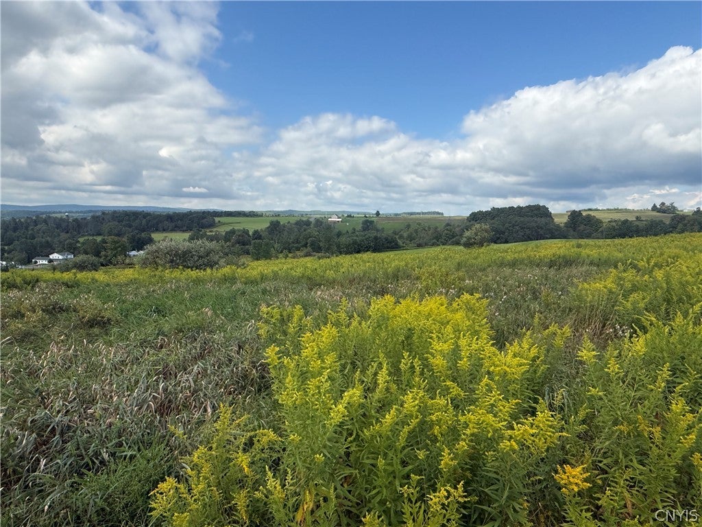 2755 Center Road McGraw, NY 13101 - Photo 36 of 47 Gallery Image 36
