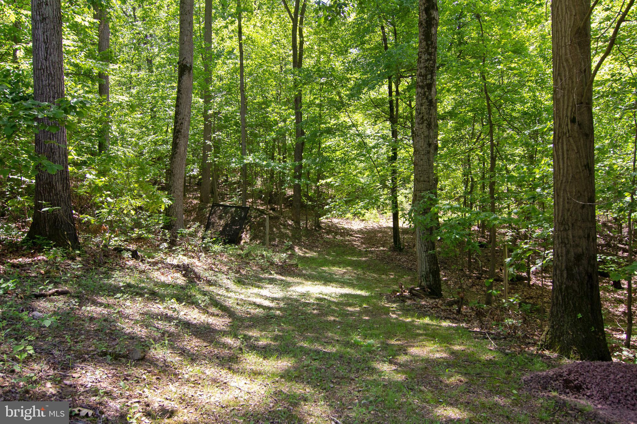 2563 Ebbvale Road Manchester, MD 21102 - Photo 12 of 41 Trail to the shooting range & house