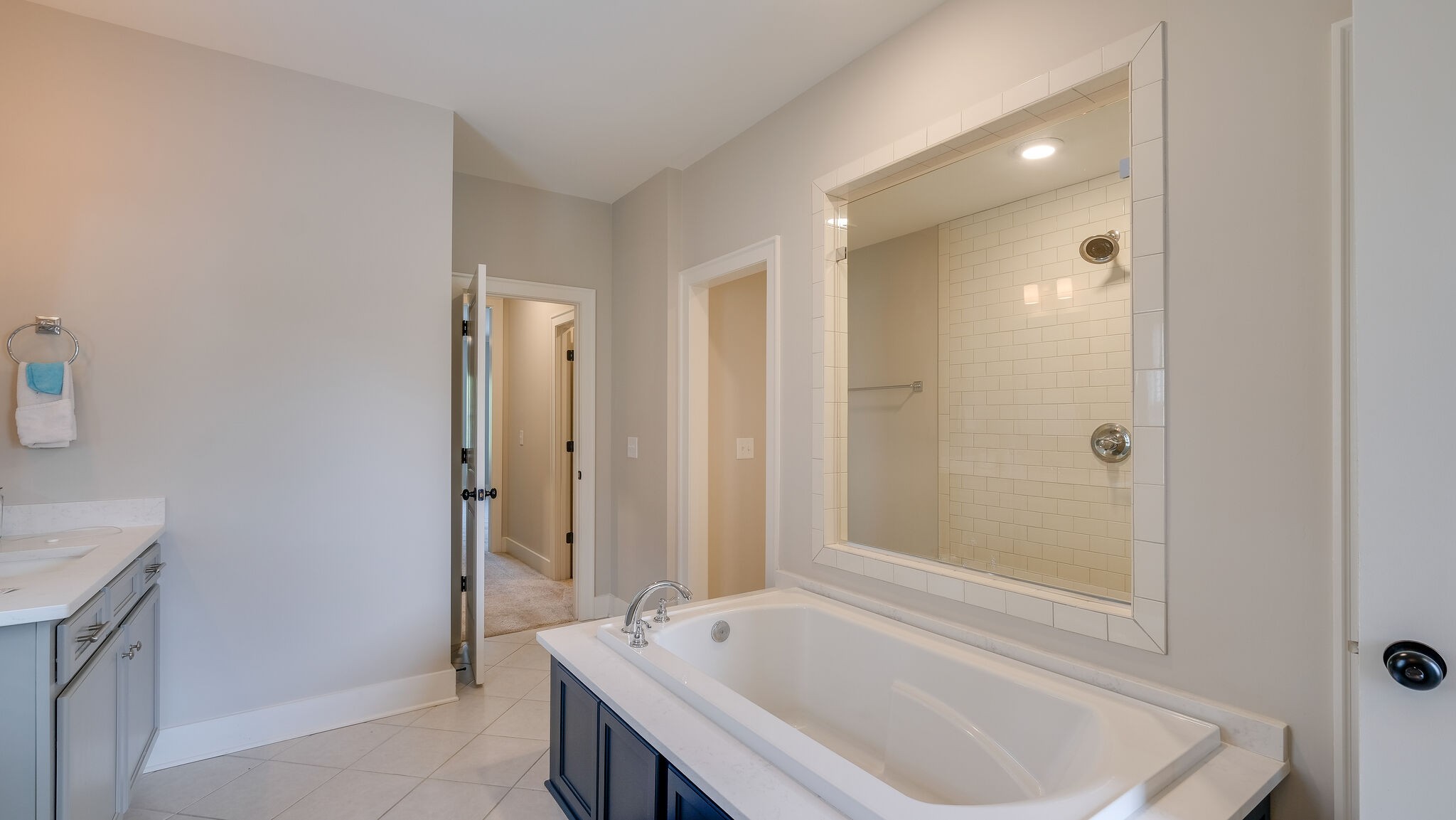 779 Plowson Road Mount Juliet, TN 37122 - Photo 20 of 44 a bathroom with a tub a sink and a large mirror
