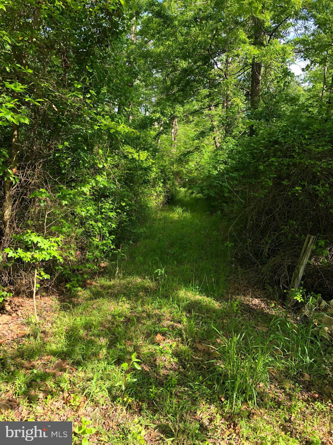 13601 Cherry Tree Crossing Road Brandywine, MD 20613 - Photo 11 of 47
