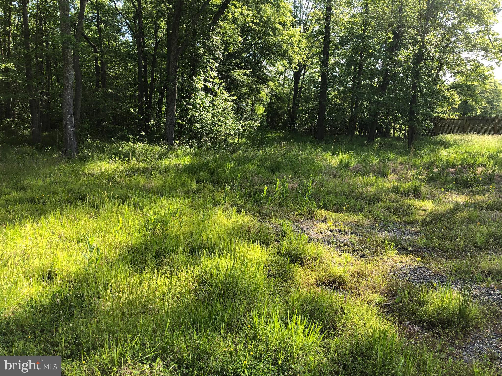 13601 Cherry Tree Crossing Road Brandywine, MD 20613 - Photo 14 of 47