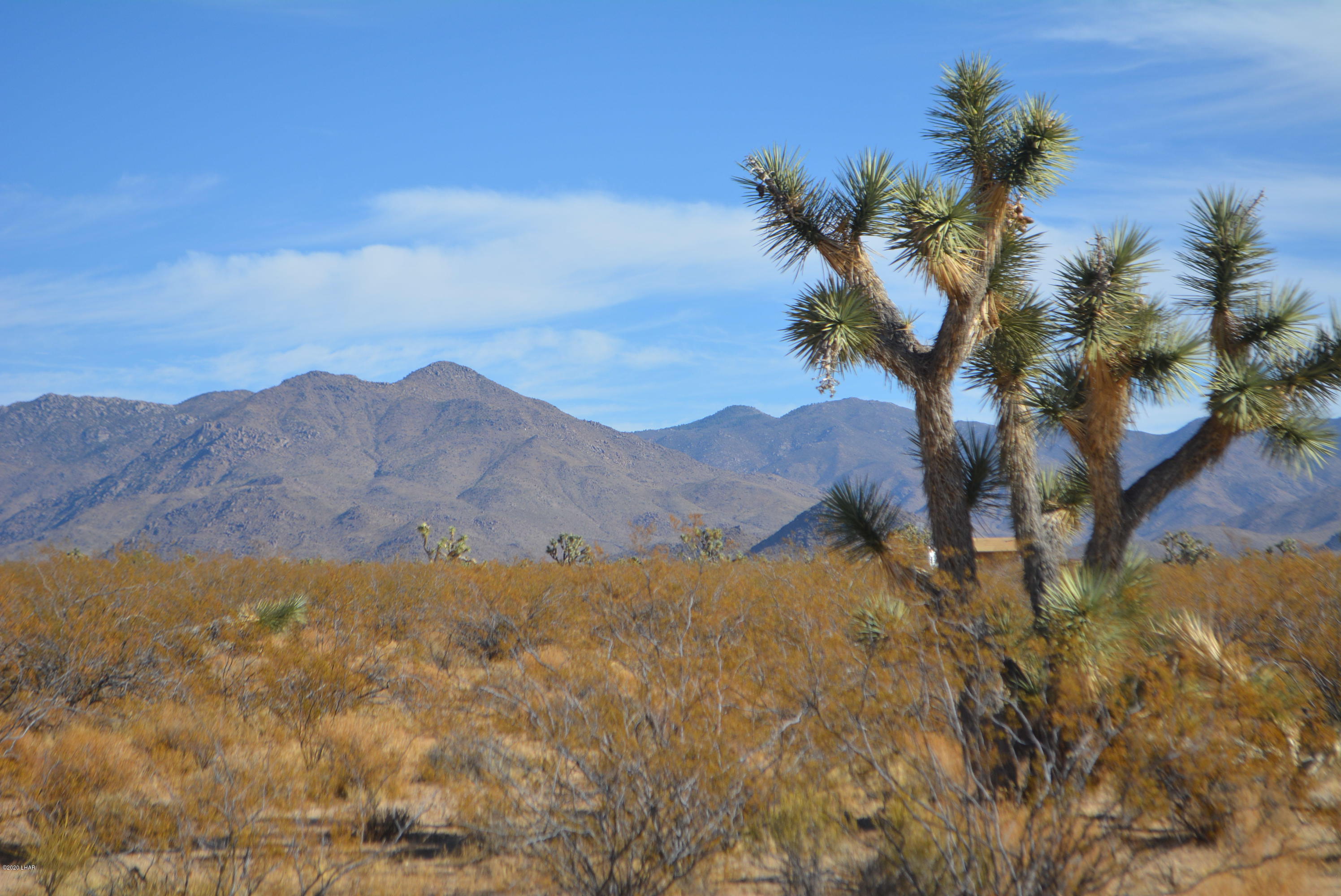 M9 Carrow Road Yucca, AZ 86438 - Photo 1 of 30 DSC_0071