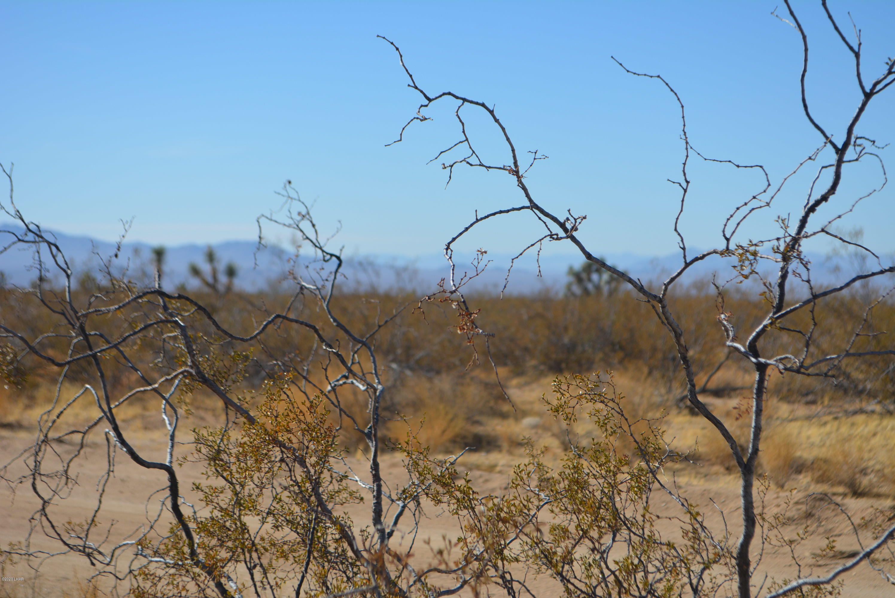 M9 Carrow Road Yucca, AZ 86438 - Photo 14 of 30 DSC_0084