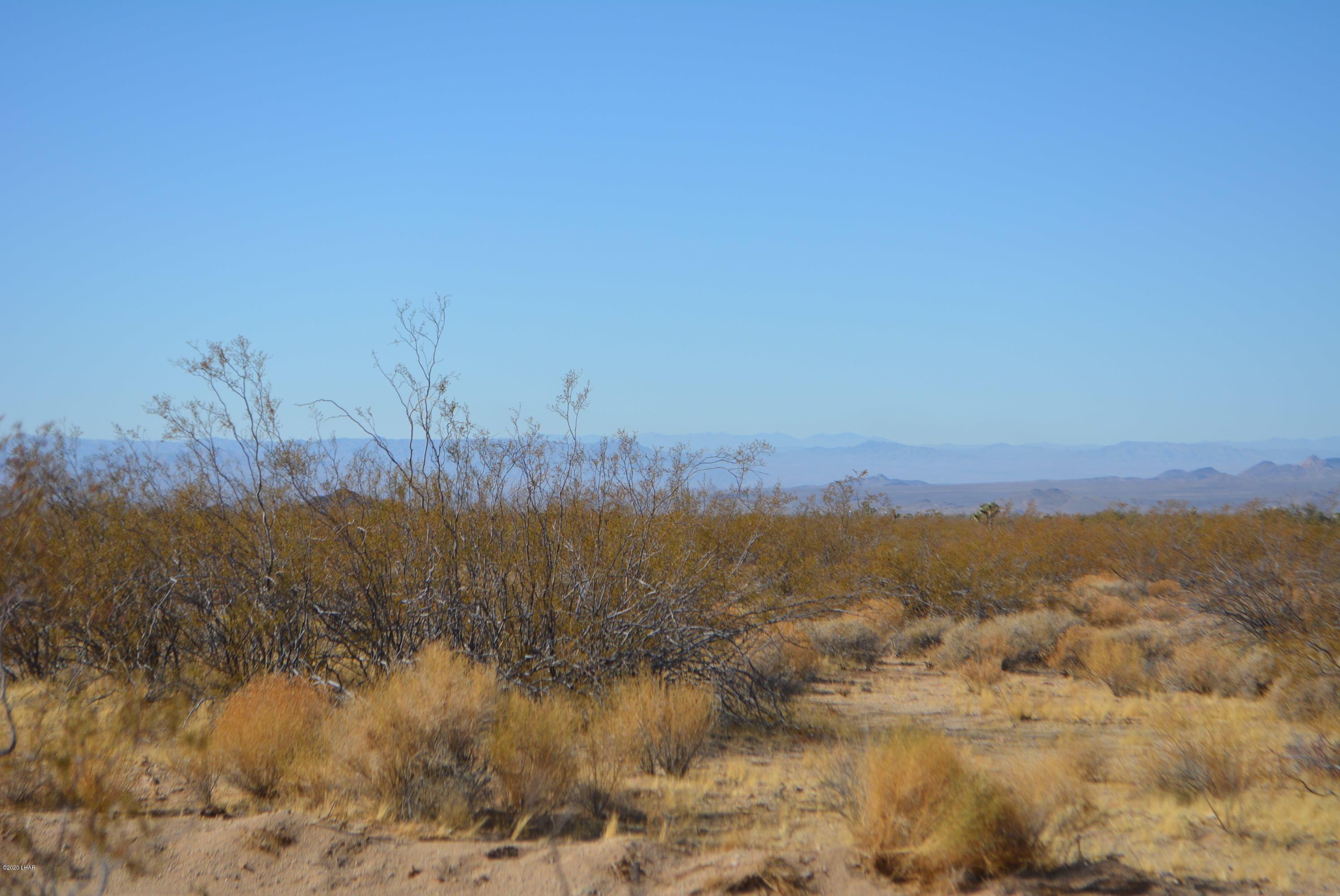 M9 Carrow Road Yucca, AZ 86438 - Photo 15 of 30 DSC_0085