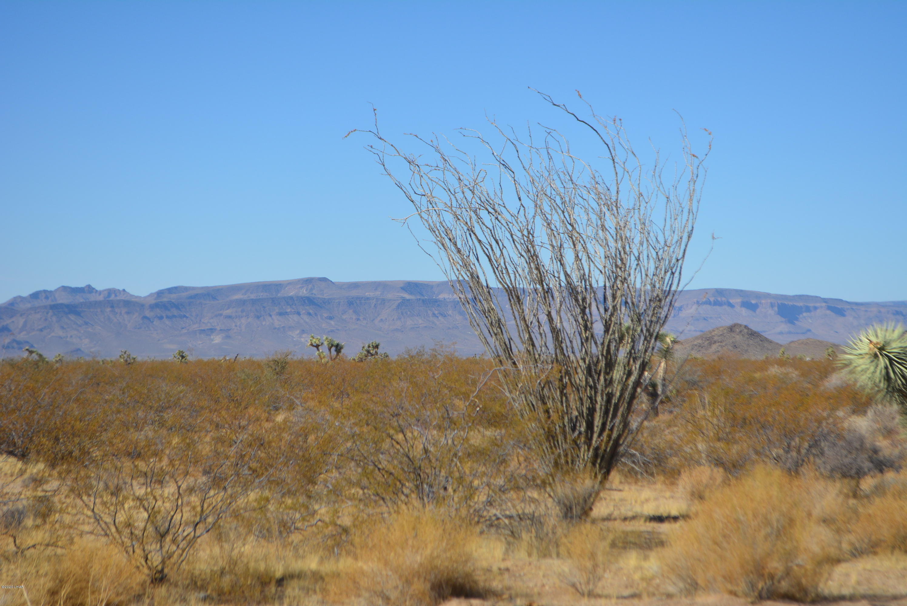 M9 Carrow Road Yucca, AZ 86438 - Photo 18 of 30 DSC_0088