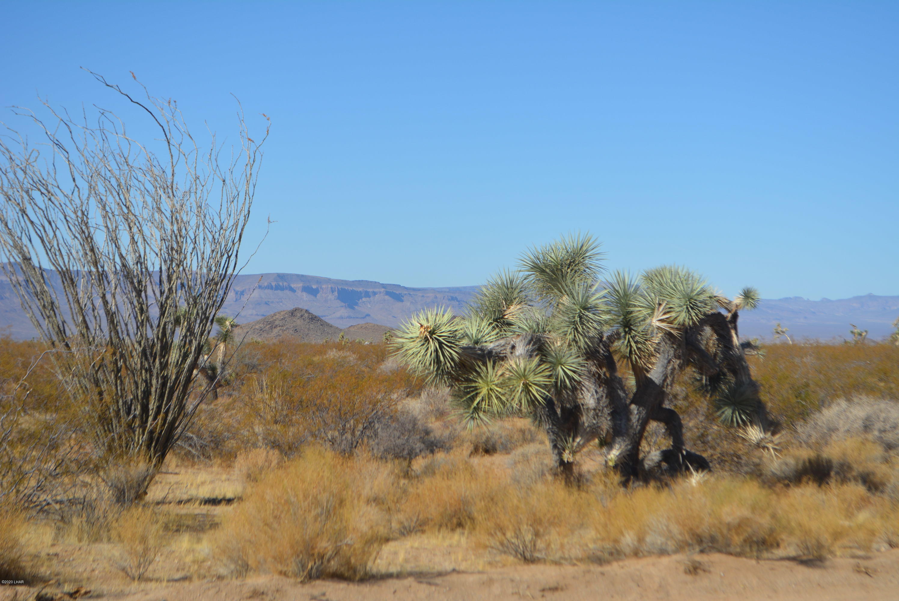 M9 Carrow Road Yucca, AZ 86438 - Photo 19 of 30 DSC_0089