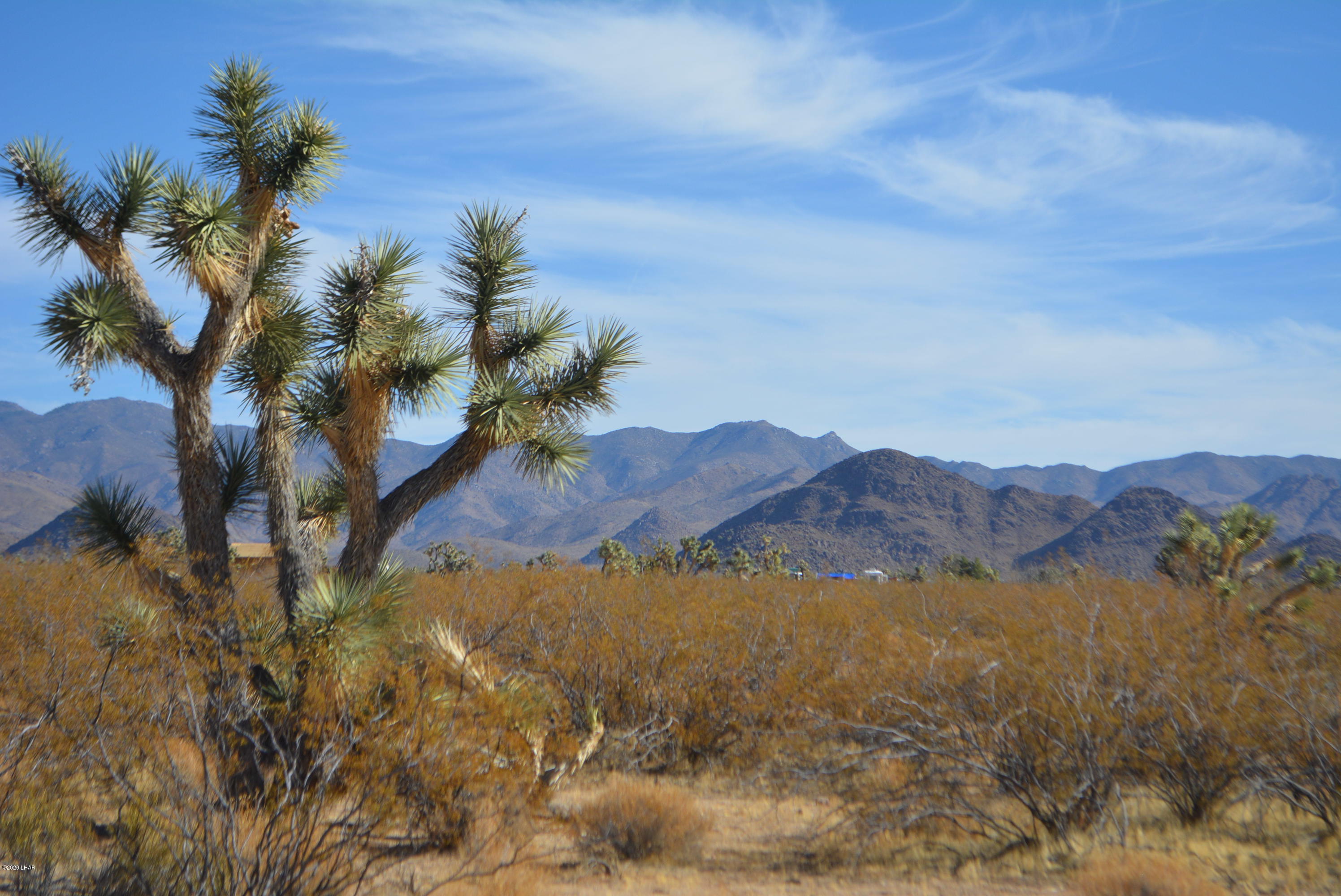 M9 Carrow Road Yucca, AZ 86438 - Photo 2 of 30 DSC_0072