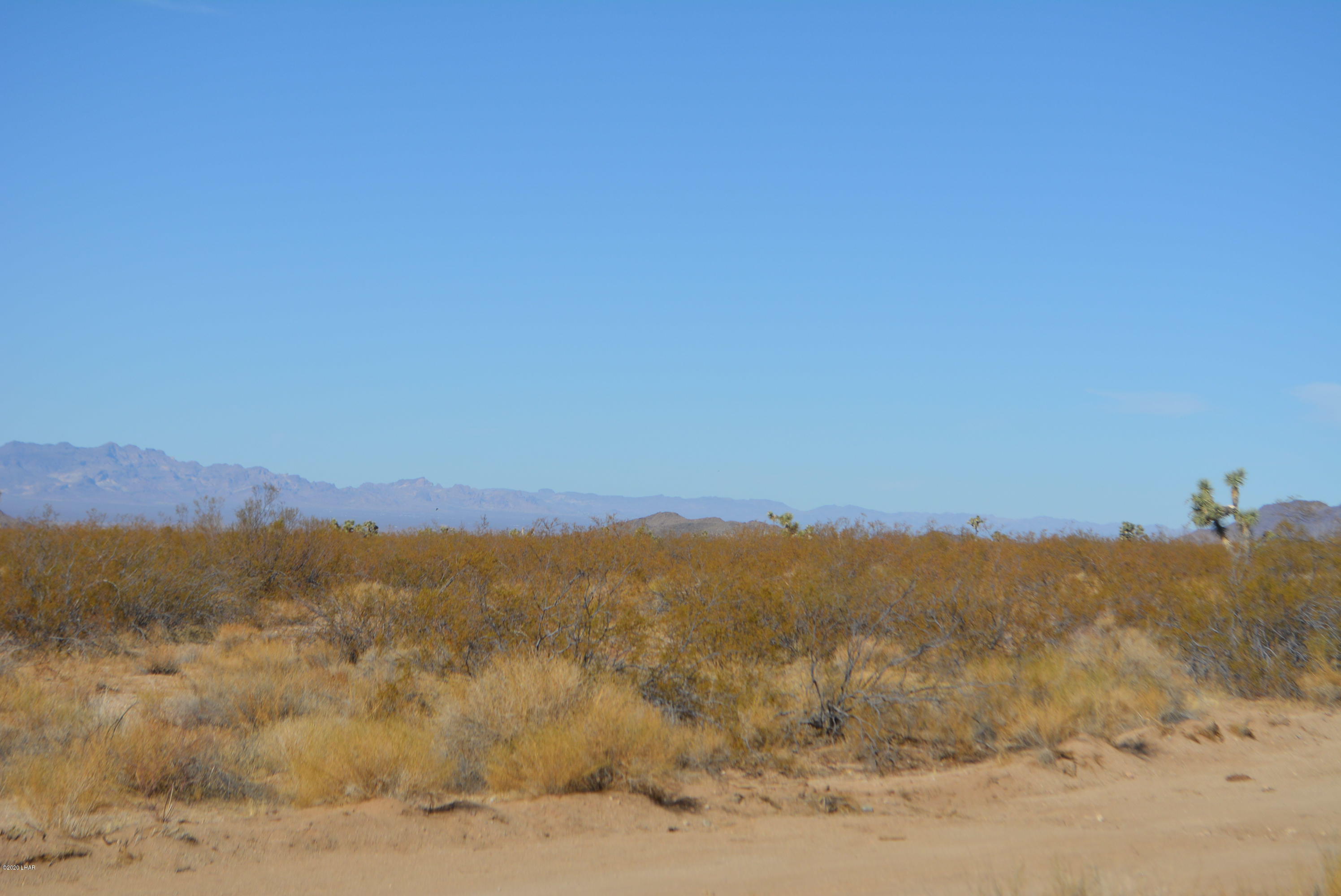 M9 Carrow Road Yucca, AZ 86438 - Photo 21 of 30 DSC_0091