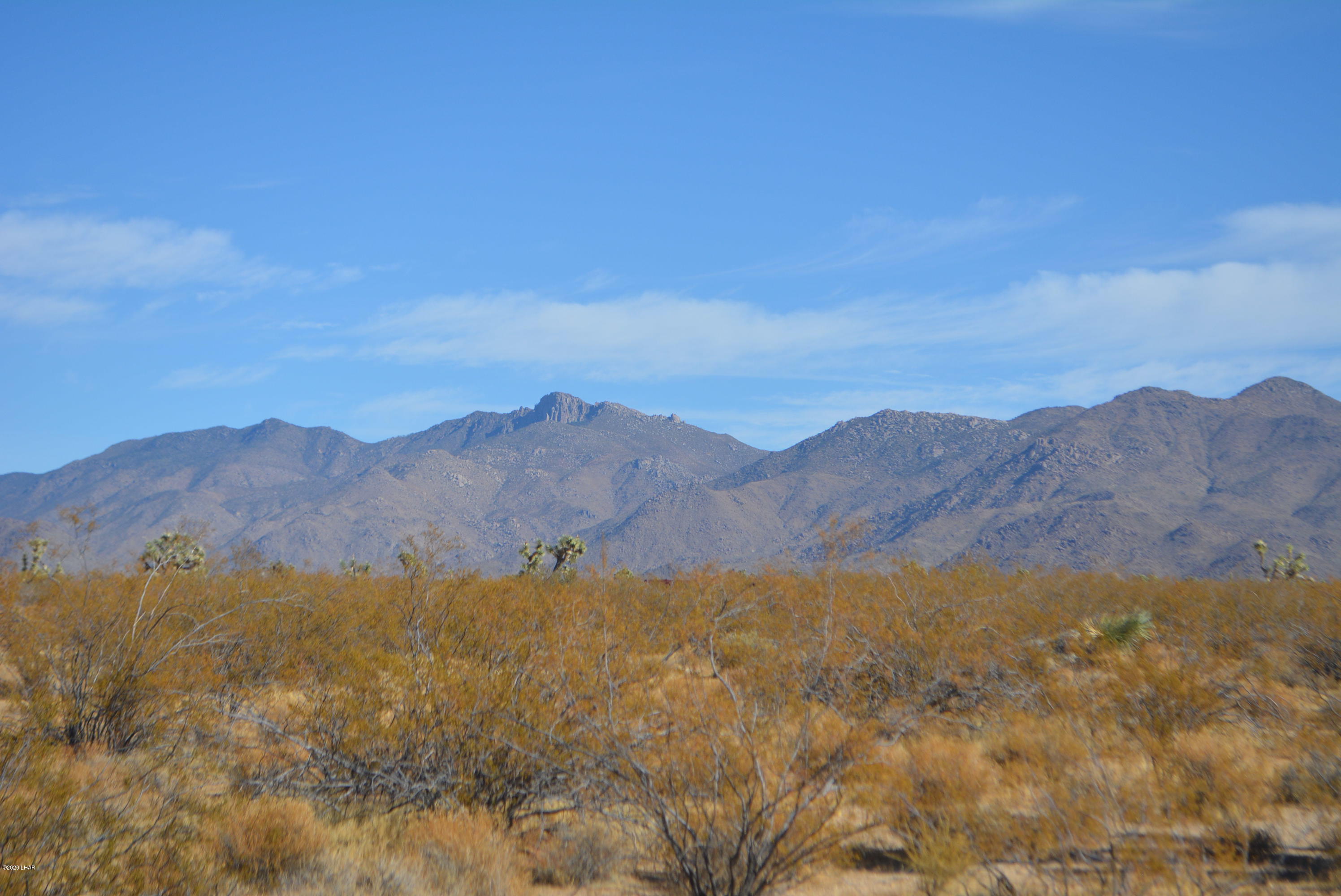 M9 Carrow Road Yucca, AZ 86438 - Photo 28 of 30 DSC_0098