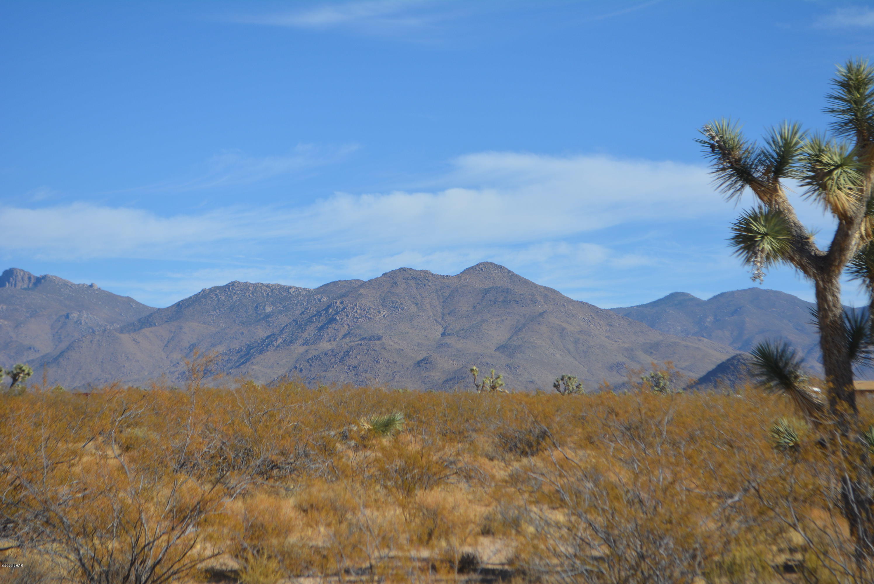 M9 Carrow Road Yucca, AZ 86438 - Photo 29 of 30 DSC_0099