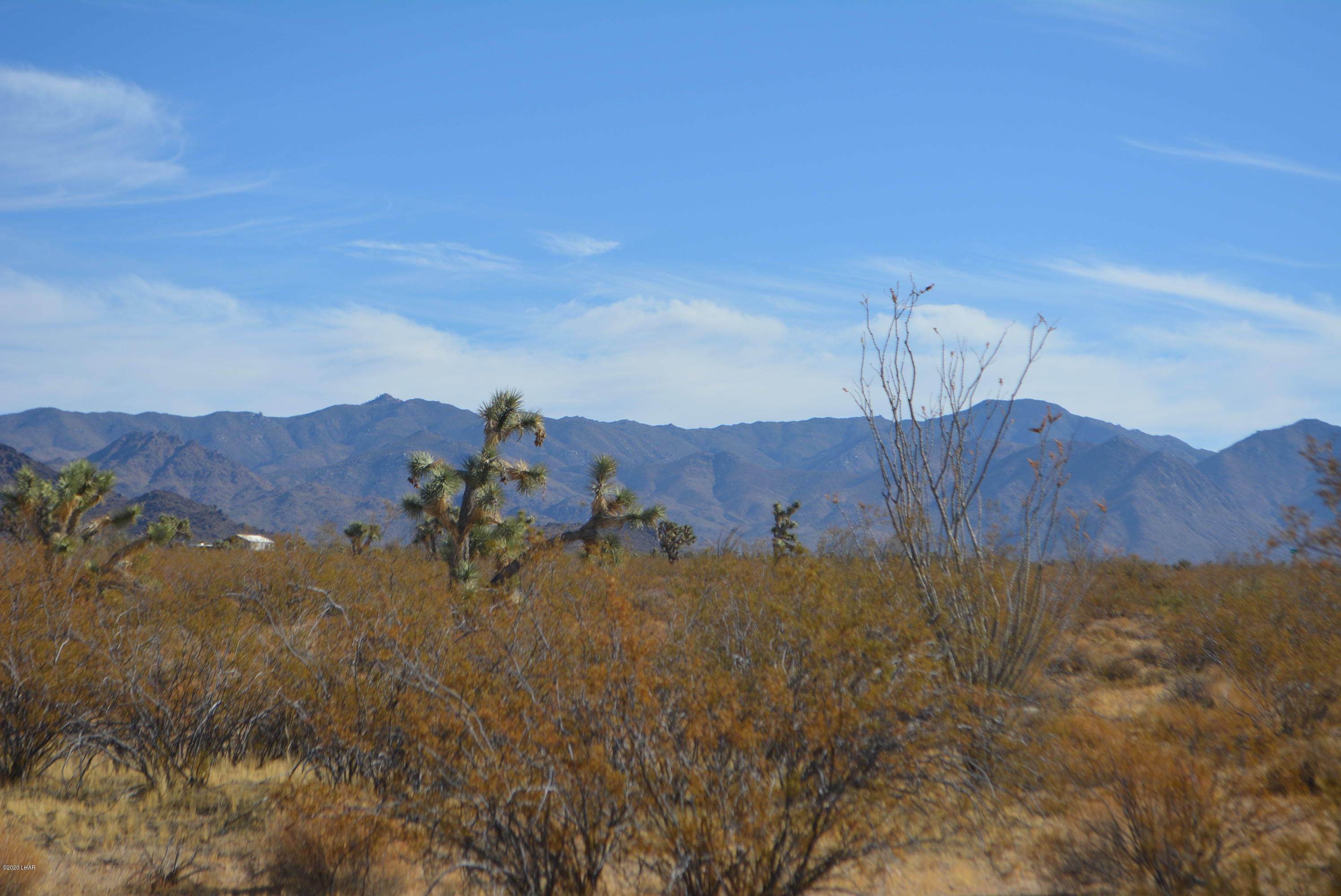 M9 Carrow Road Yucca, AZ 86438 - Photo 4 of 30 DSC_0074