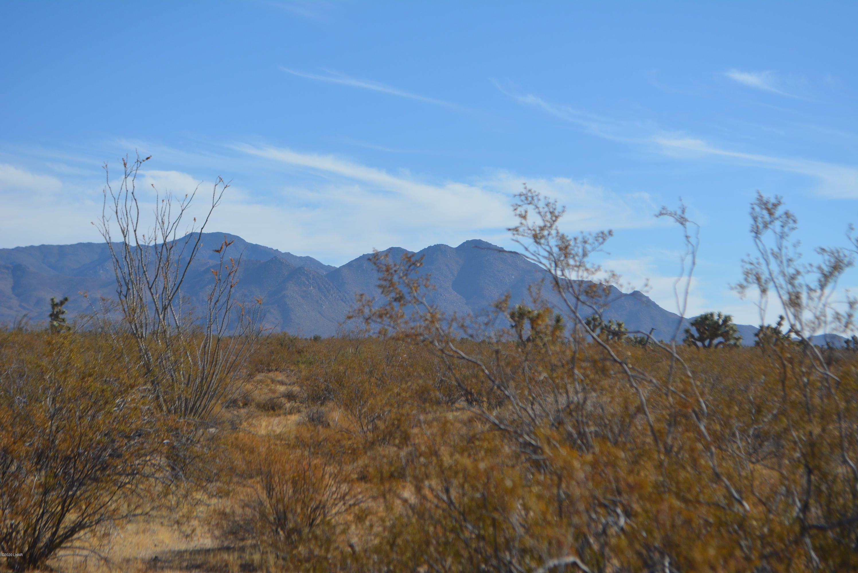 M9 Carrow Road Yucca, AZ 86438 - Photo 5 of 30 DSC_0075