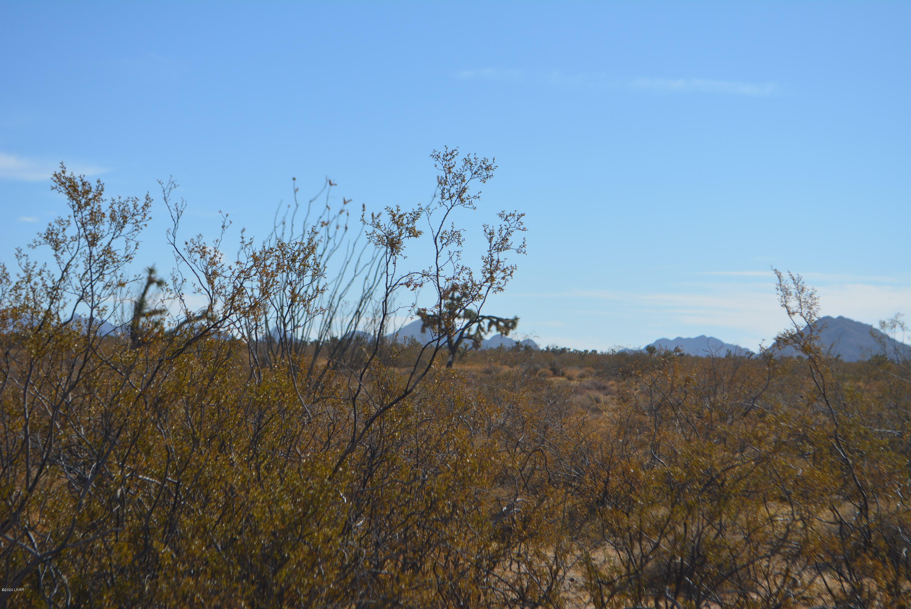 M9 Carrow Road Yucca, AZ 86438 - Photo 7 of 30 DSC_0077