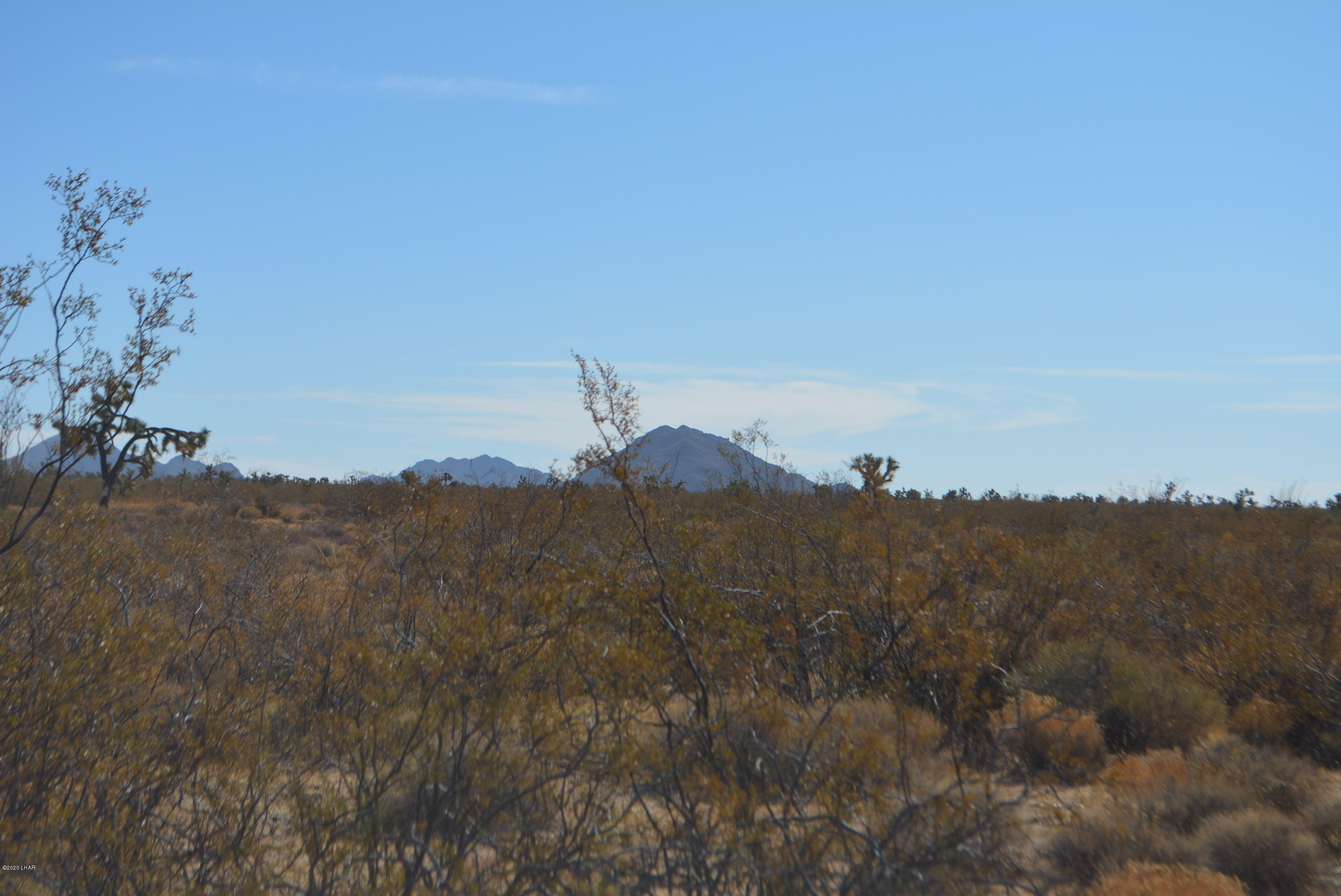 M9 Carrow Road Yucca, AZ 86438 - Photo 8 of 30 DSC_0078