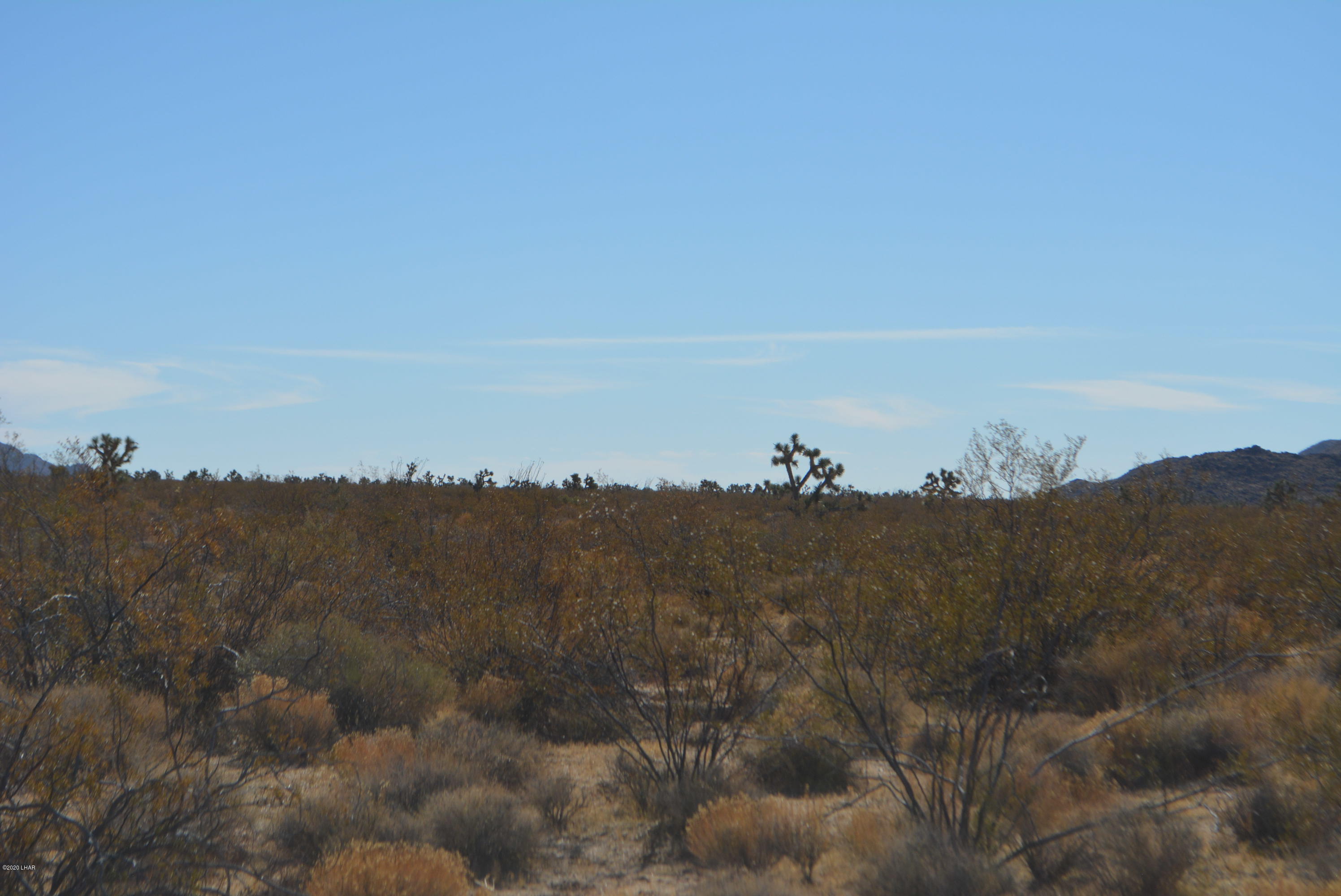M9 Carrow Road Yucca, AZ 86438 - Photo 9 of 30 DSC_0079