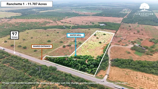 a view of a yard with a tree in the background