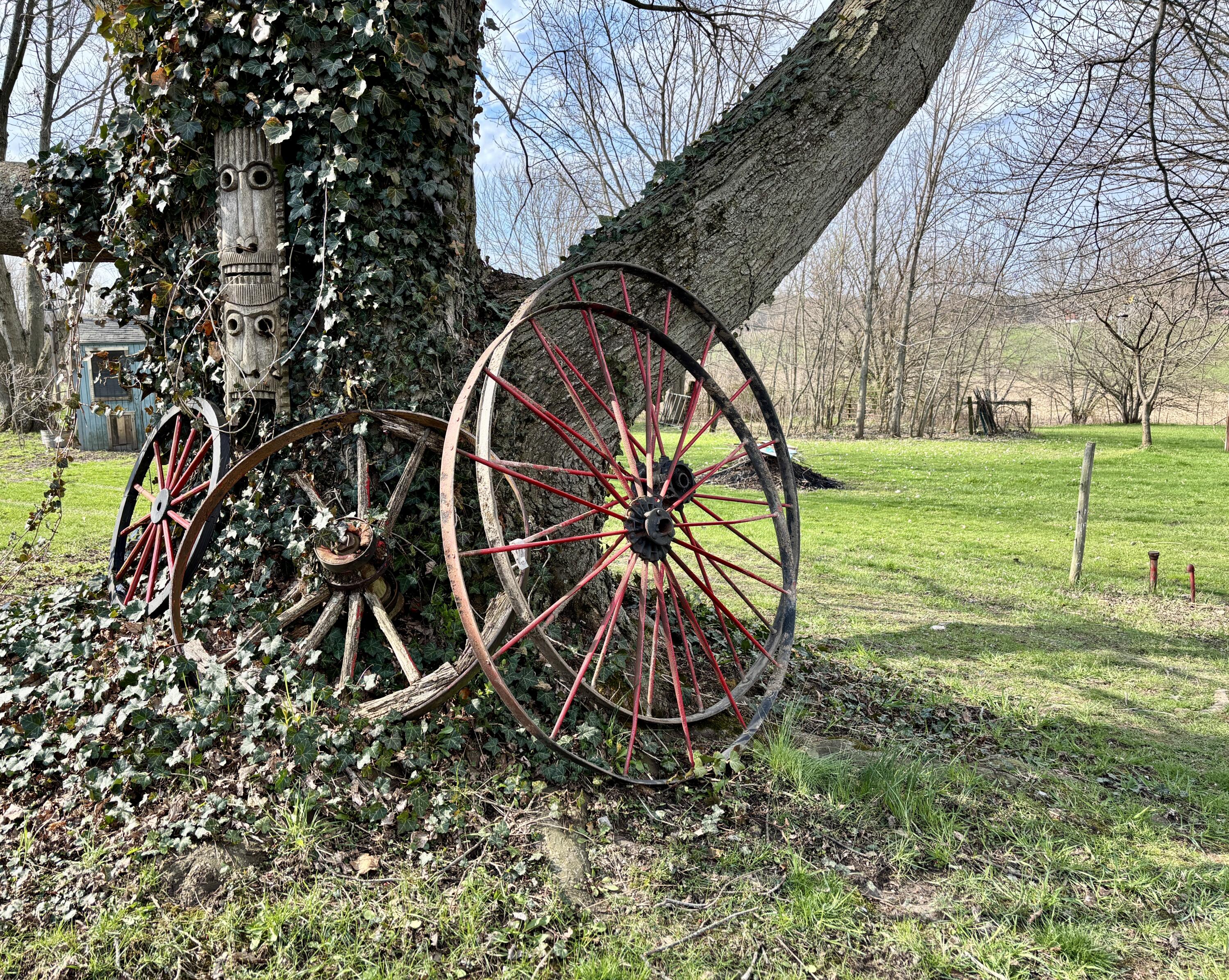 1652 Olive Branch Road Galien, MI 49113 - Photo 18 of 22 IMG_5791