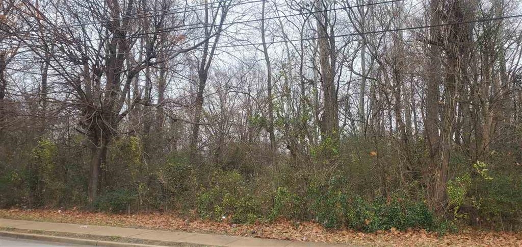 3429 Range Line Road Memphis, TN 38127 - Photo 4 of 4