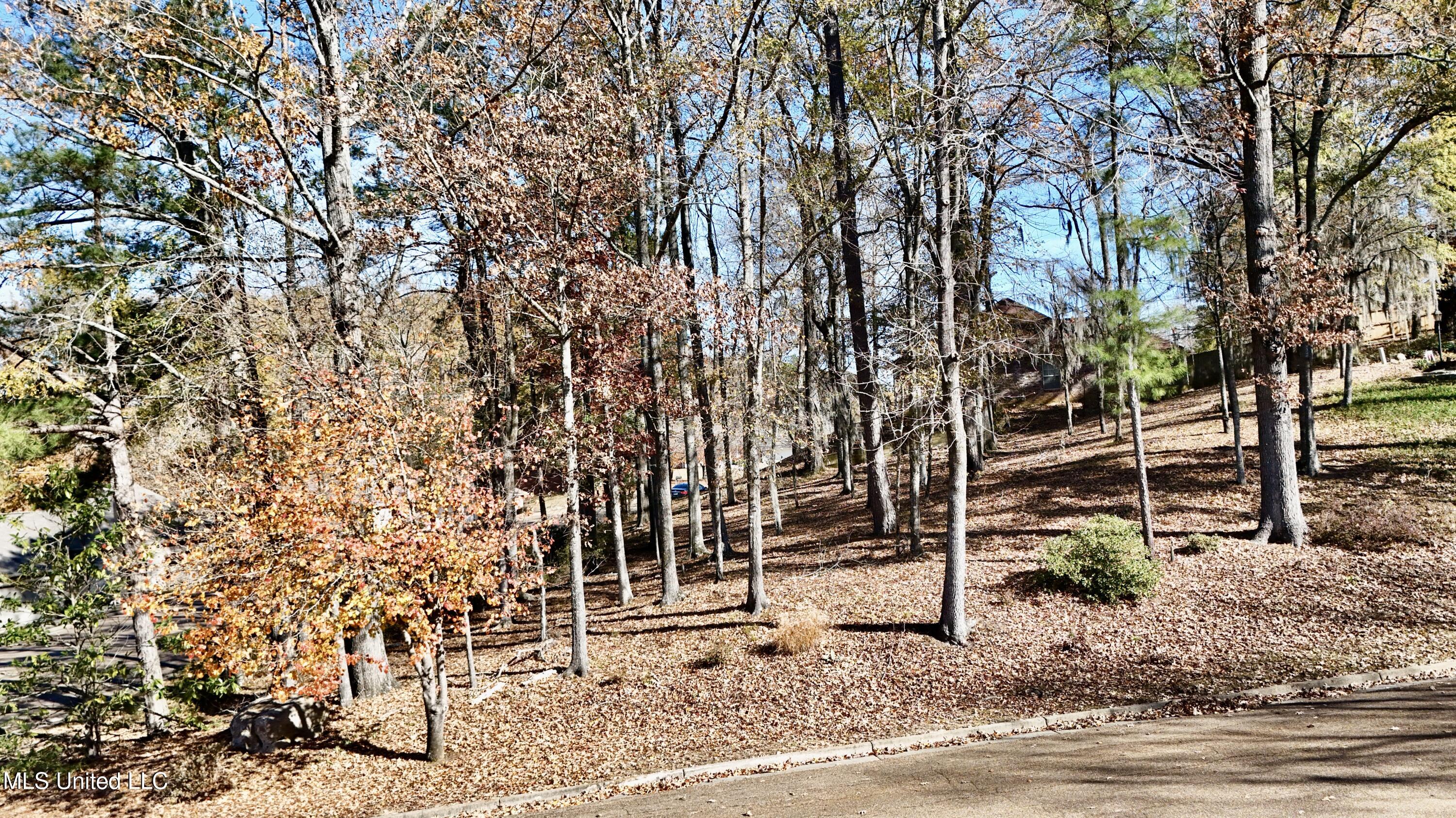 0 Brighton Drive Clinton, MS 39056 - Photo 2 of 11 dji_fly_20251219_125856_0570_17661835571