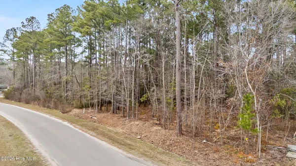 $50,000 | Lot 4 Copperhead Lane, Burgaw, NC 28425