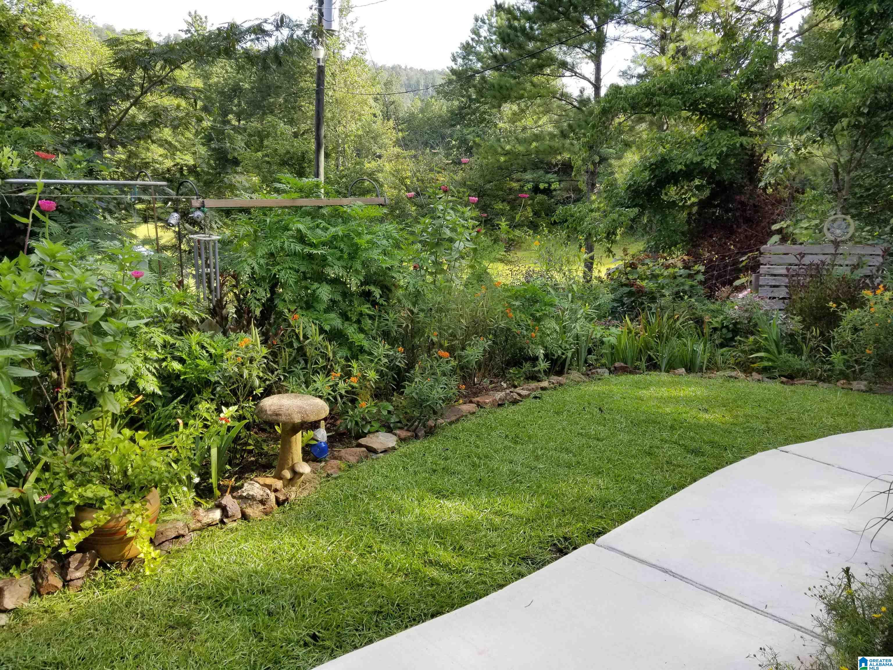 84 Dorr Road Oneonta, AL 35121 - Photo 2 of 44