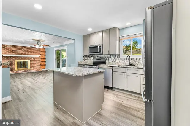 a park with large trees