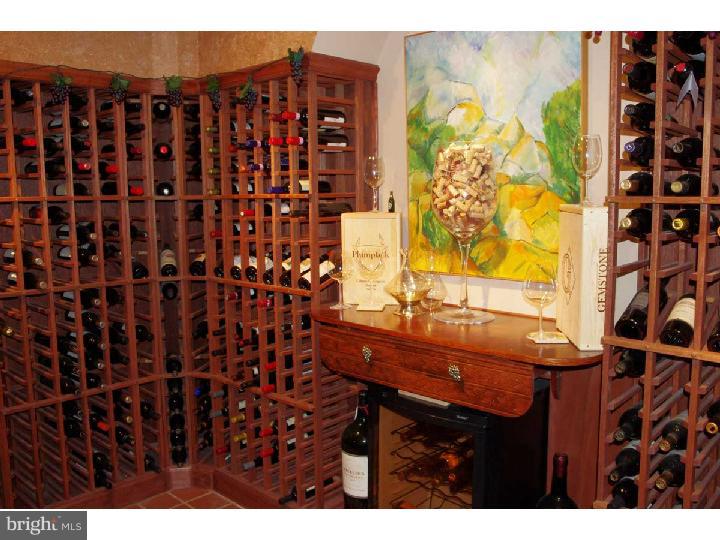721 Northbrook Road Kennett Square, PA 19348 - Photo 23 of 25 Wine Cellar