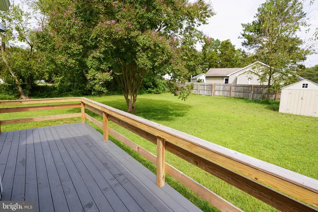 a view of a yard with wooden floor and large trees