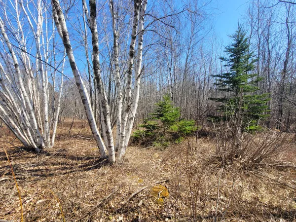 $750,000 | 29 Reef Point Road, Addison, ME 04606