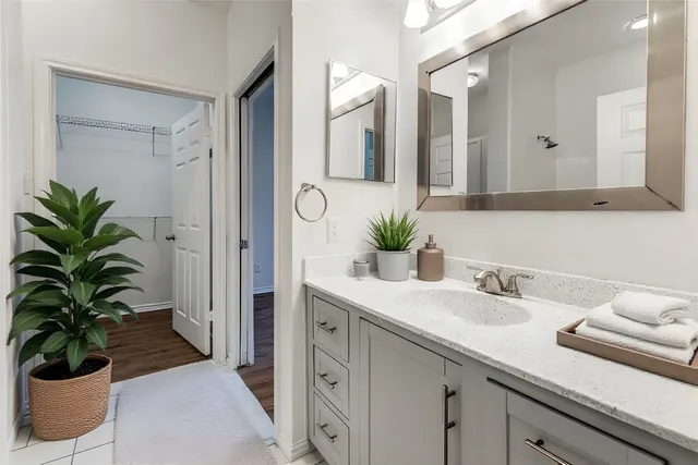 a bathroom with a potted plant on the counter and mirror