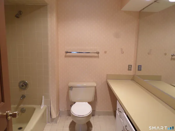a bathroom with a sink and a toilet