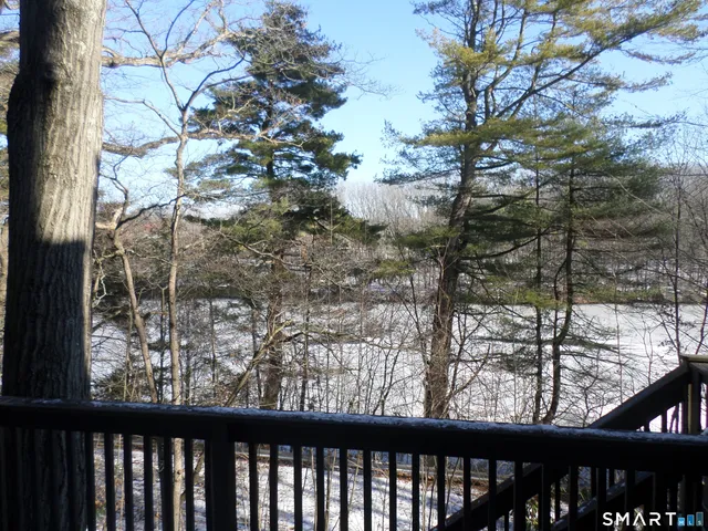 a view of trees from a window
