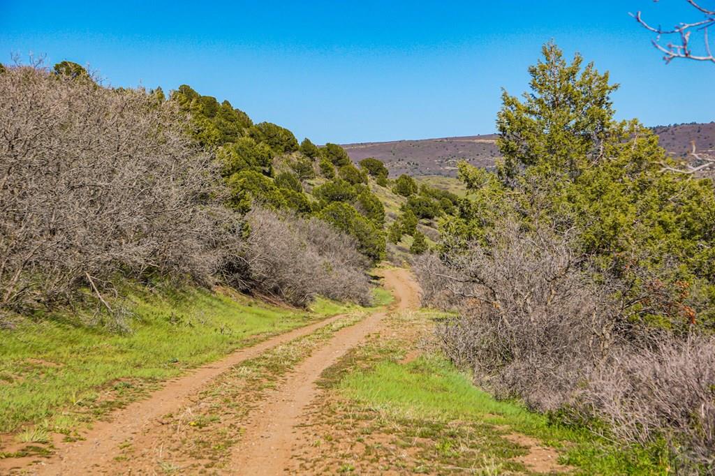 Tbd Tbd Rilling Canyon Road La Veta, CO 81055 - Photo 32 of 33