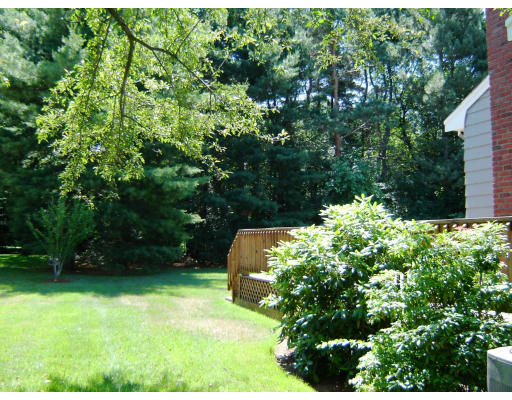 30 Yale Road Needham, MA 02494 - Photo 6 of 6