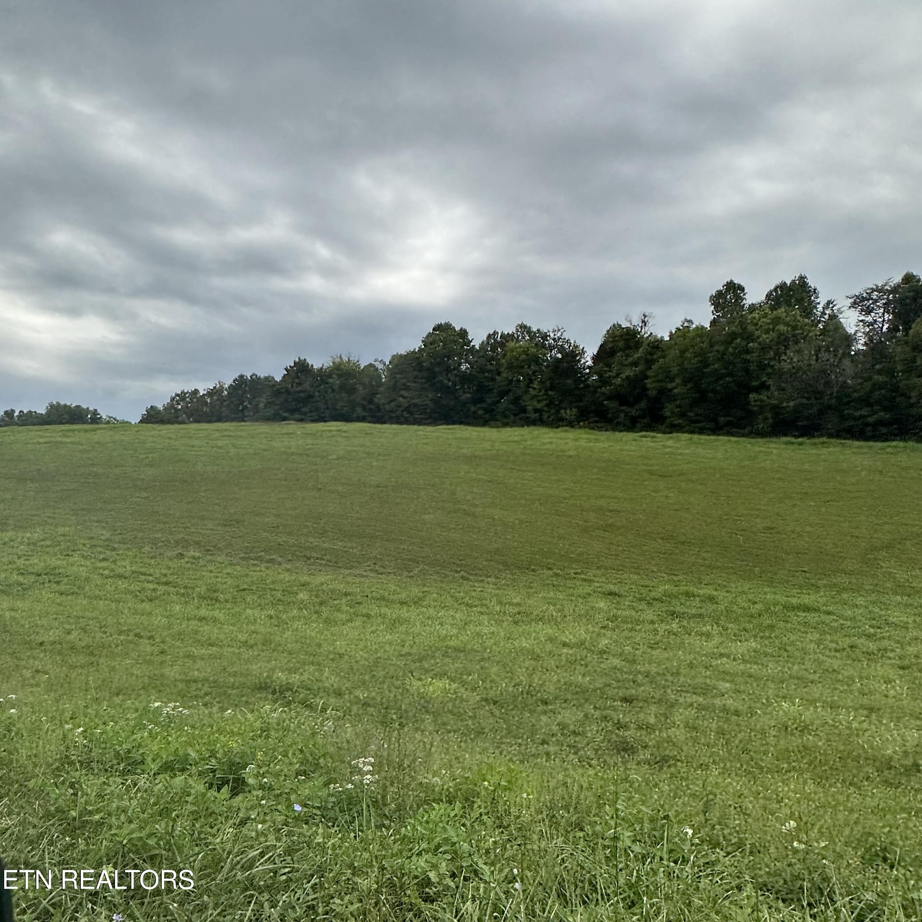 Bob Wright Road Maynardville, TN 37807 - Photo 4 of 16 lot 41