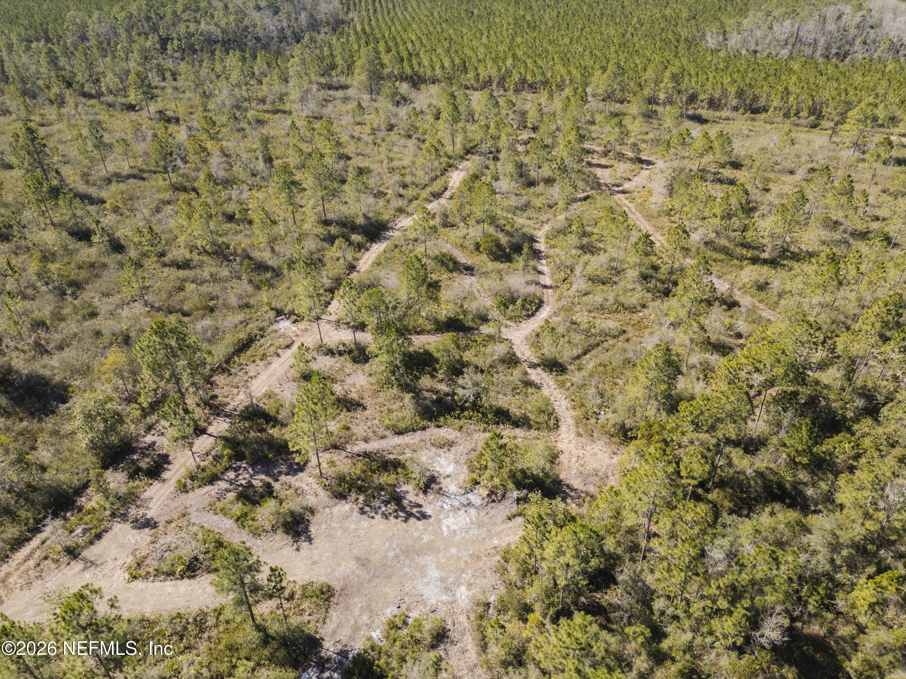 125 Currant Avenue Middleburg, FL 32068 - Photo 34 of 45 Aerial View