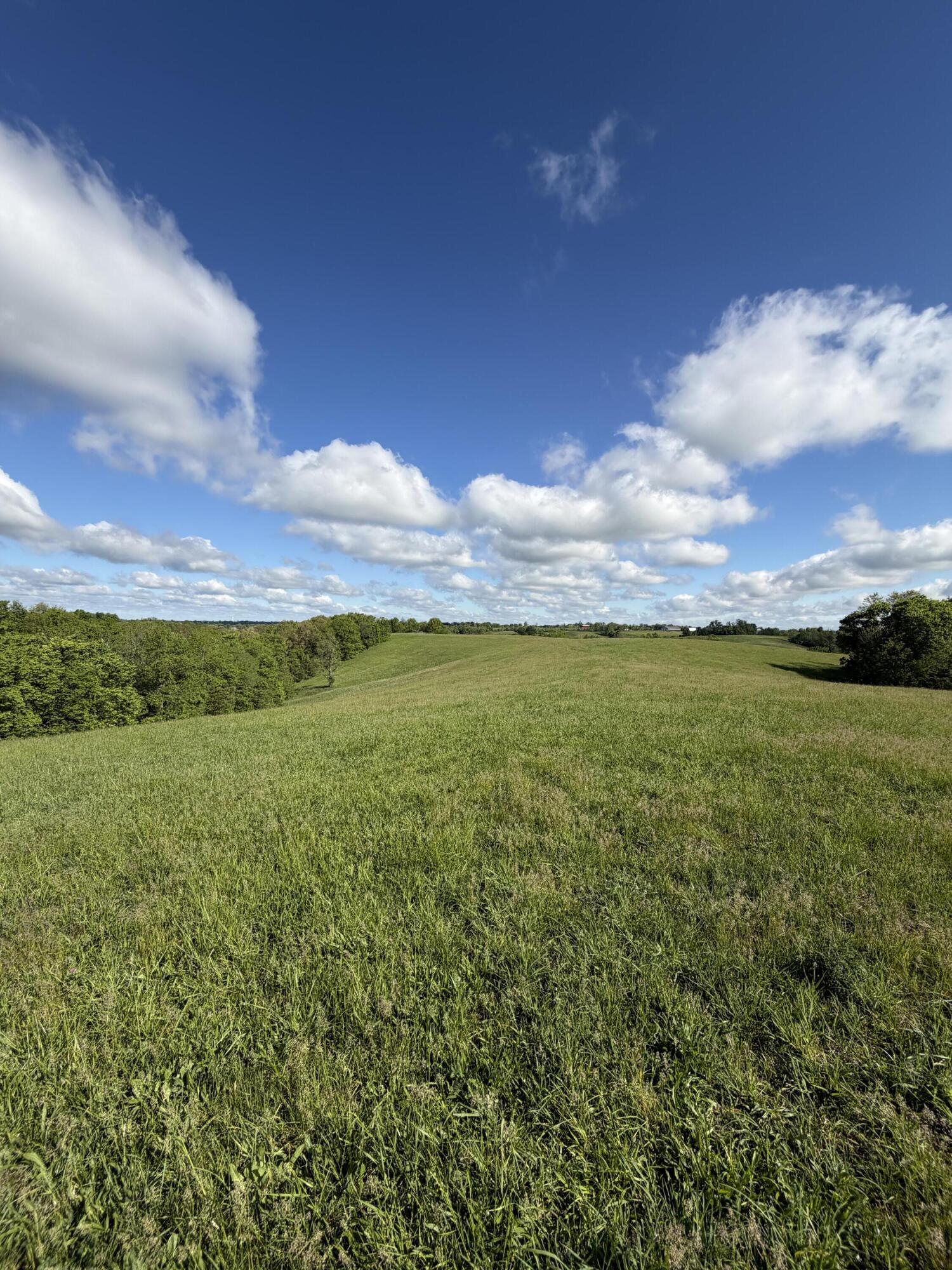 5.11-ac Chipman Ridge Road Williamstown, KY 41097 - Photo 1 of 6