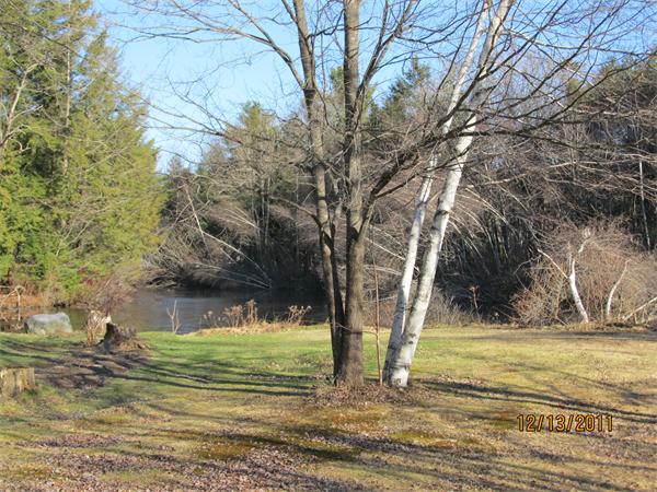 61 Gauthier Road Petersham, MA 01366 - Photo 3 of 7 a view of a yard with an trees