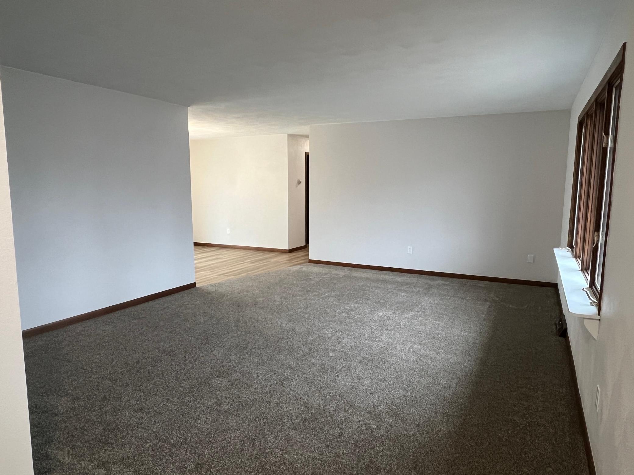 703 3rd Street South Ellendale, MN 56026 - Photo 4 of 28