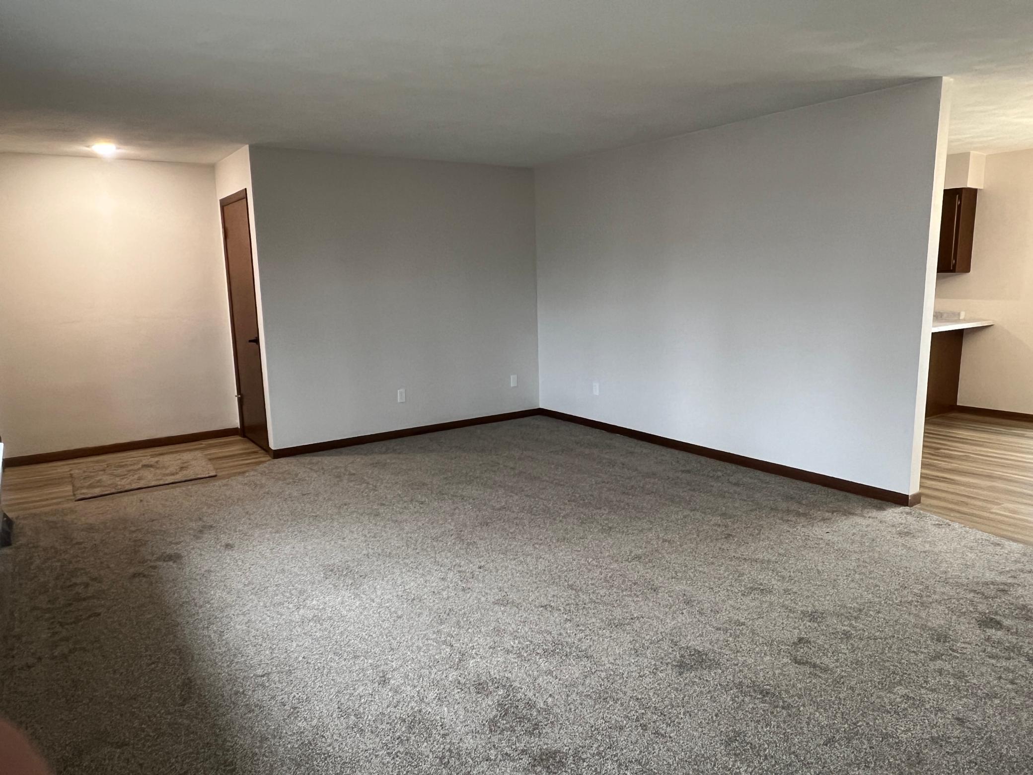 703 3rd Street South Ellendale, MN 56026 - Photo 5 of 28