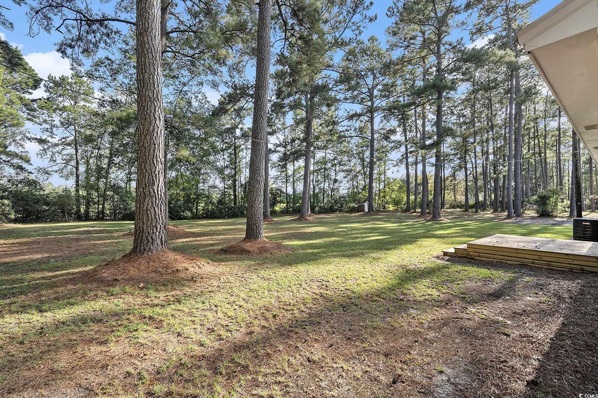 494 Ray Road Hemingway, SC 29554 - Photo 26 of 26 View of green lawn featuring a deck